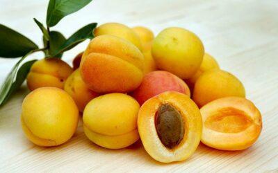 5 bienfaits de l’abricot