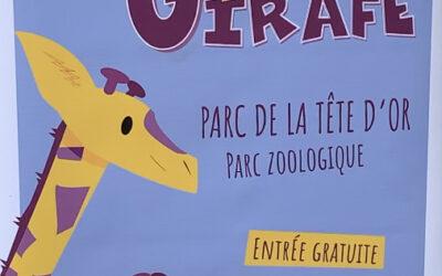 Fête de la girafe 2023 : À la découverte de ces majestueuses créatures